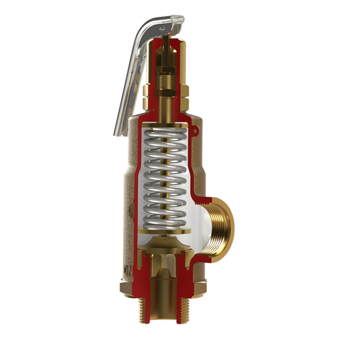 G100 Safety Relief Valve