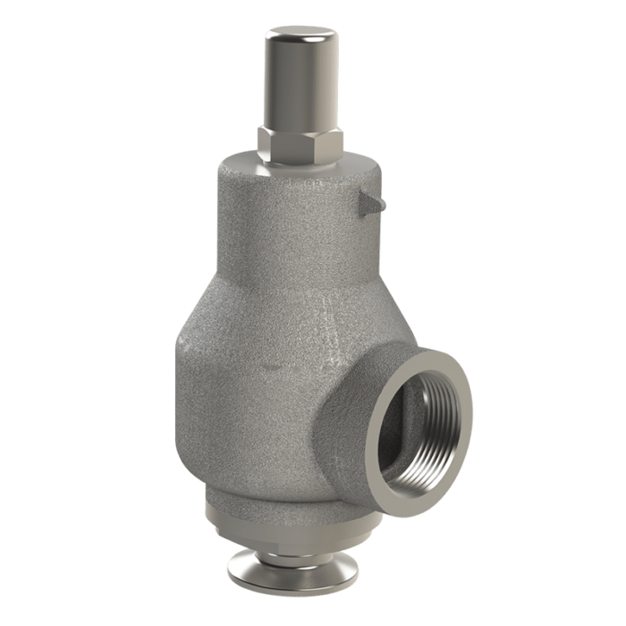 Stainless Steel S2000 Safety Relief Valve