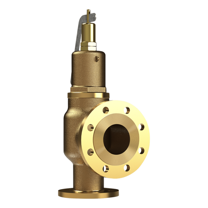 Bronze S2000 Safety Relief Valve